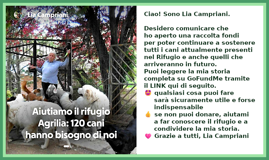 Donazioni tramite GoFundMe